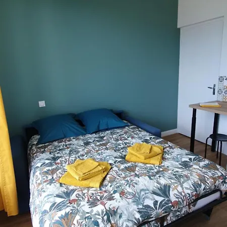 דירה 28 M2 L'albion Le 55 Centre-ville, Avec Parking Et Piscine